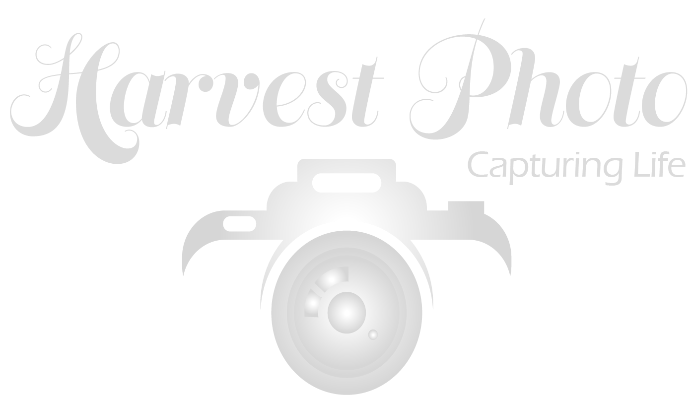 Harvest Photo Logo in gray
