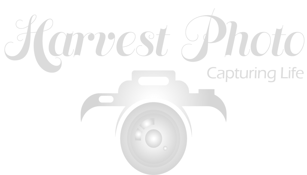 Harvest Photo Logo in gray